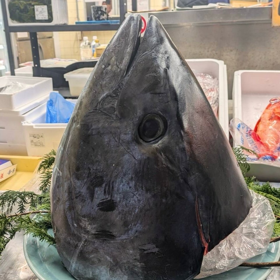 魚