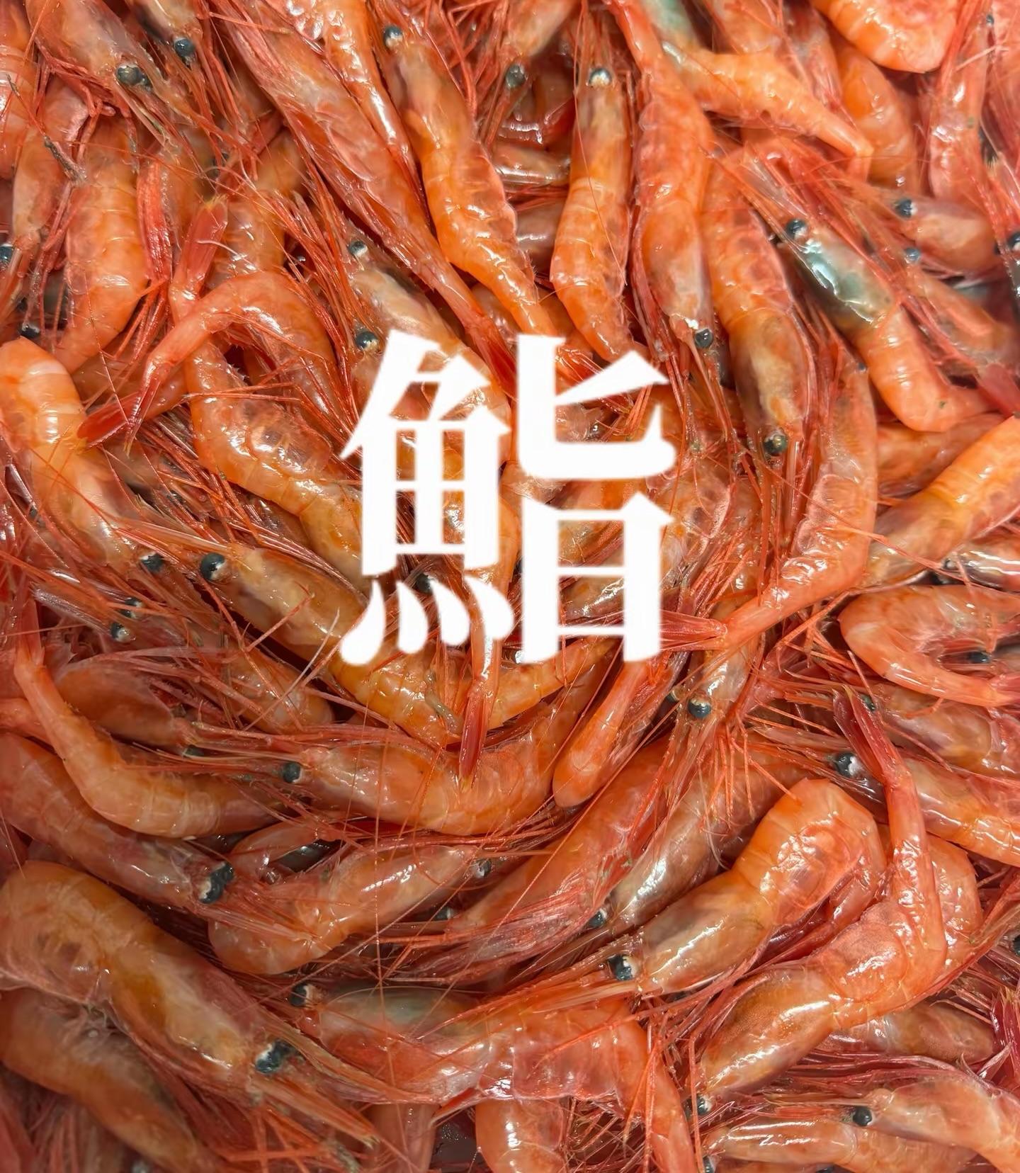 鮨